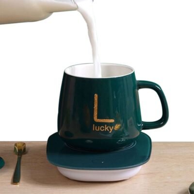 Tasse chauffante électrique YL007