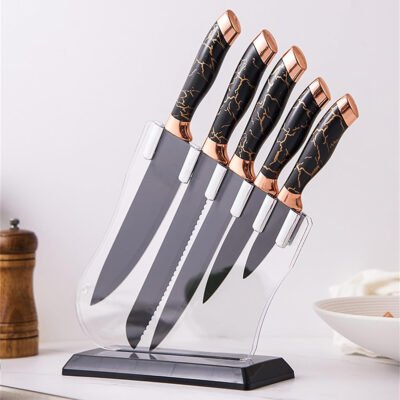 Lot de 5 couteaux de cuisine YL222