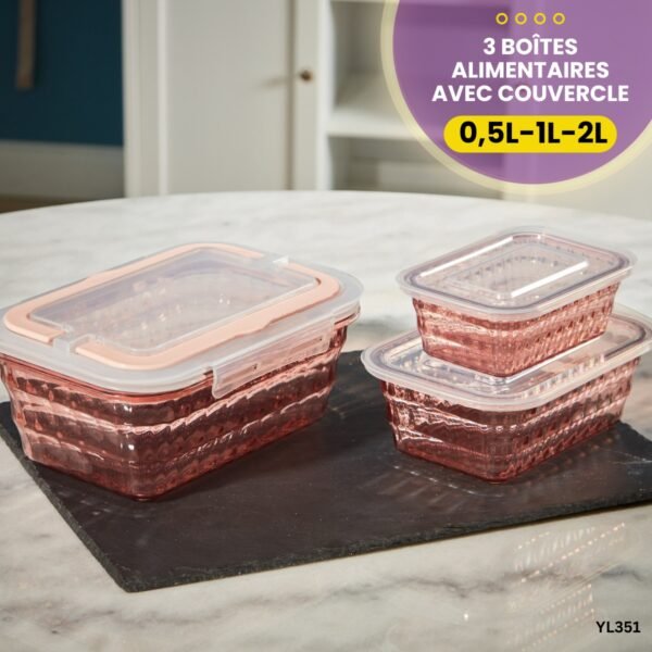 Lot de 3 Boîtes Alimentaires YL351
