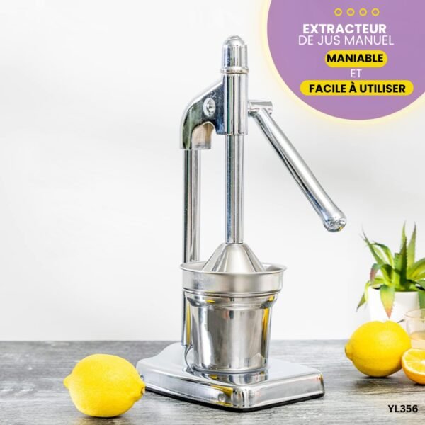 Extracteur de jus manuel YL356
