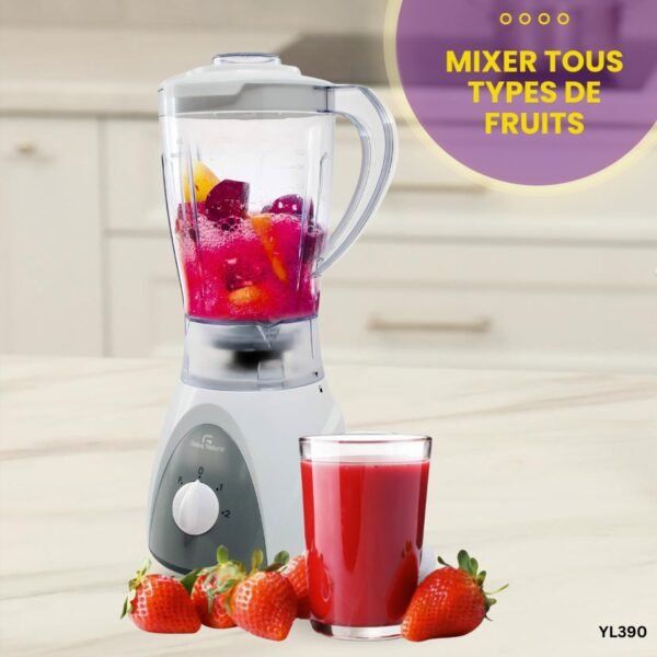 MIXEUR 2EN1 Galaxy Naturel YL390 – Image 2