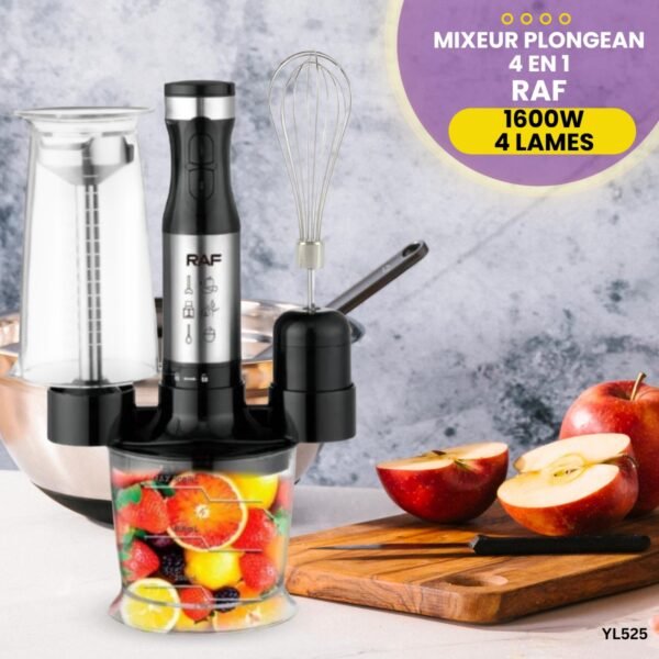 Mixeur Plongeant RAF 4 en 1 YL525 – Image 2