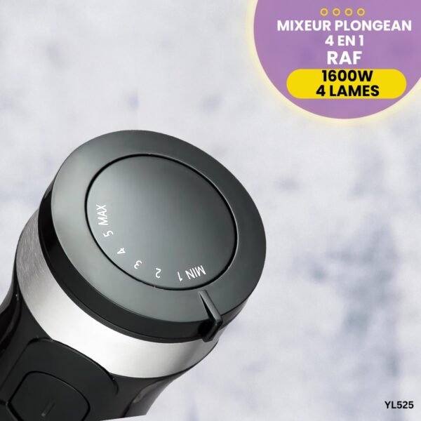 Mixeur Plongeant RAF 4 en 1 YL525 – Image 3