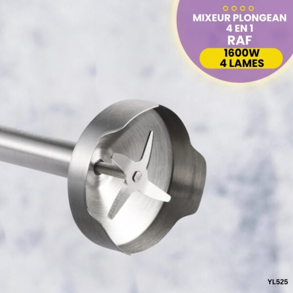 Mixeur Plongeant RAF 4 en 1 YL525 – Image 4