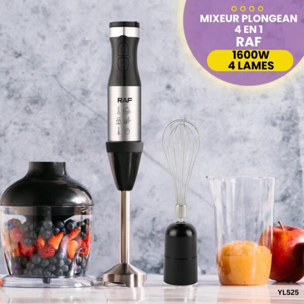 Mixeur Plongeant RAF 4 en 1 YL525