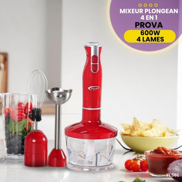 Mixeur Plongeant 4en1 Prova YL561