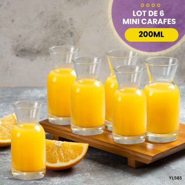 Lot de 6 mini carafes YL585