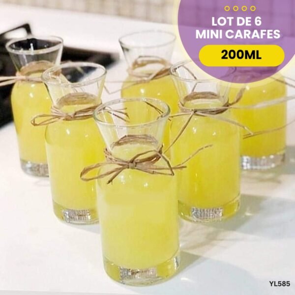 Lot de 6 mini carafes YL585 – Image 2