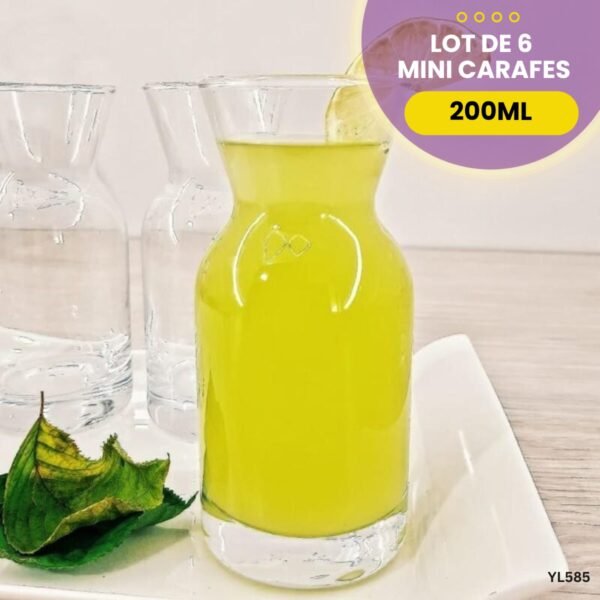 Lot de 6 mini carafes YL585 – Image 4