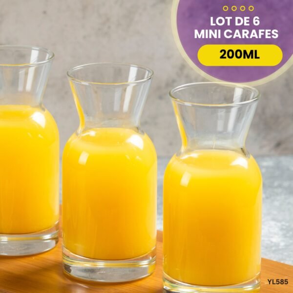 Lot de 6 mini carafes YL585 – Image 3