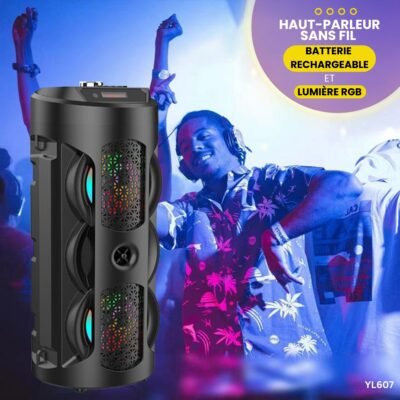 Haut-Parleur Sans Fil 4243 YL607