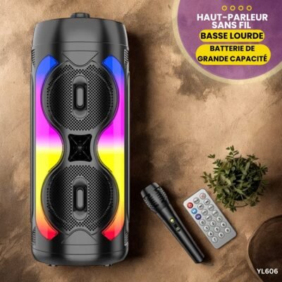 Haut-Parleur Sans Fil 6232  YL606
