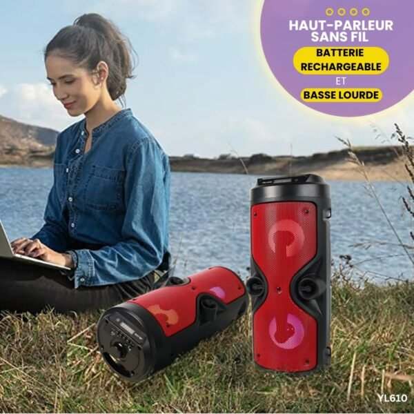Haut-Parleur Sans Fil 4209 YL610