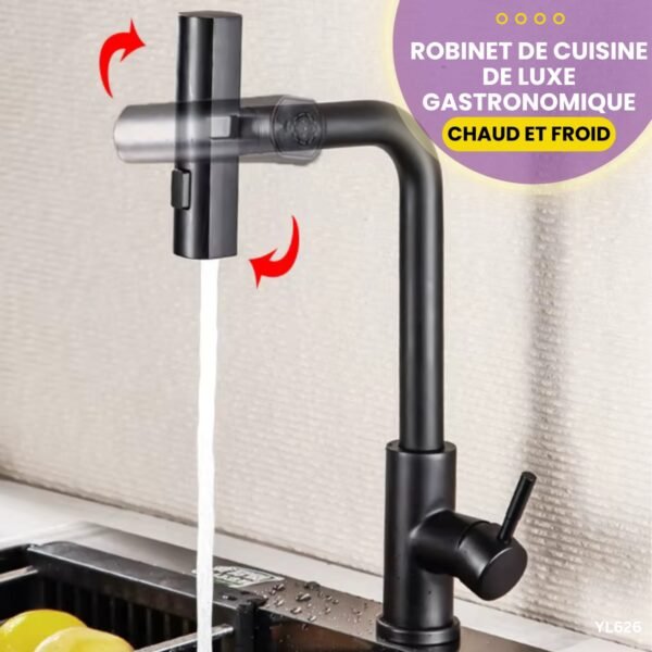 Robinet de cuisine de luxe gastronomique YL626