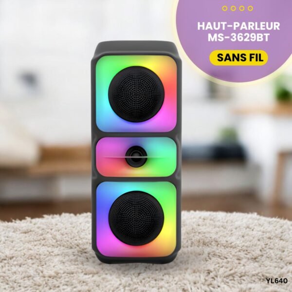 Haut-Parleur Sans Fil MS-3629BT YL640