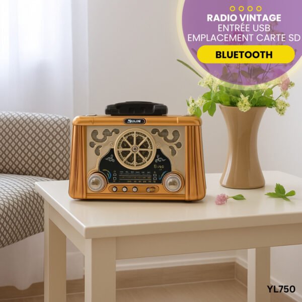 Radio Vintage YL750 – Image 3