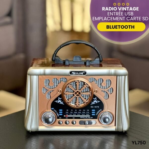 Radio Vintage YL750 – Image 4