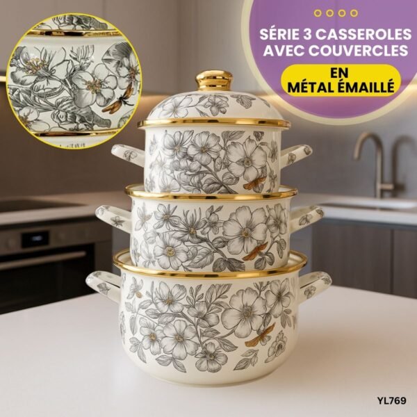 Série 3 Casseroles avec couvercles YL769