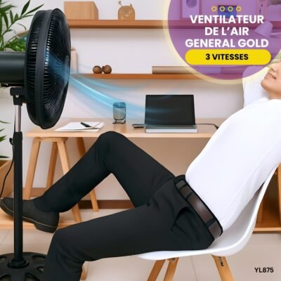 Ventilateur de l’air General Gold YL875