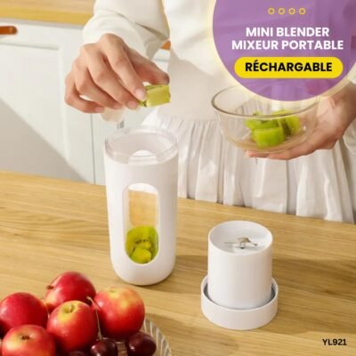Mini blender Mixeur portable YL921