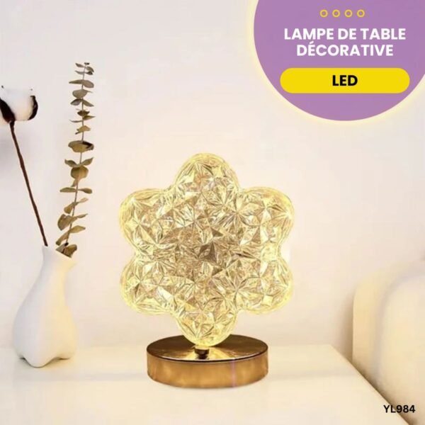 Lampe de table Décorative LED YL984
