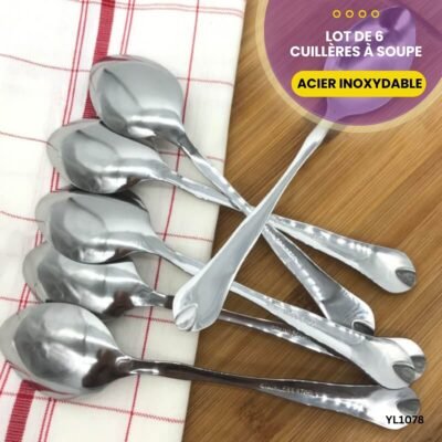Lot de 6 cuillères à soupe YL1078