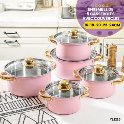Ensemble de 5 Casseroles YL1226