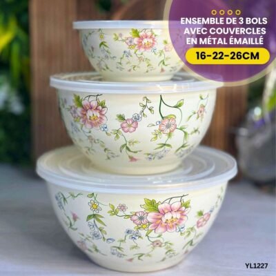 Ensemble de 3 bols avec couvercles en métal émaillé YL1227