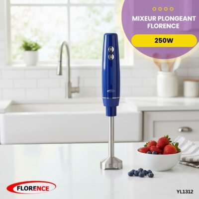 Mixeur Plongeant Florence 250W YL1312