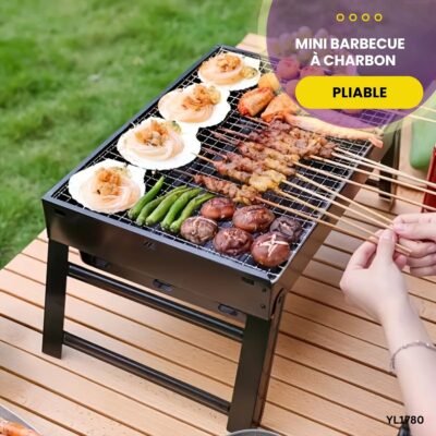 Mini Barbecue Pliable à Charbon YL1780